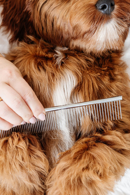 Pup Parent Essentials | Beginner Dog Grooming Bundle with Slicker Brush & Combs
