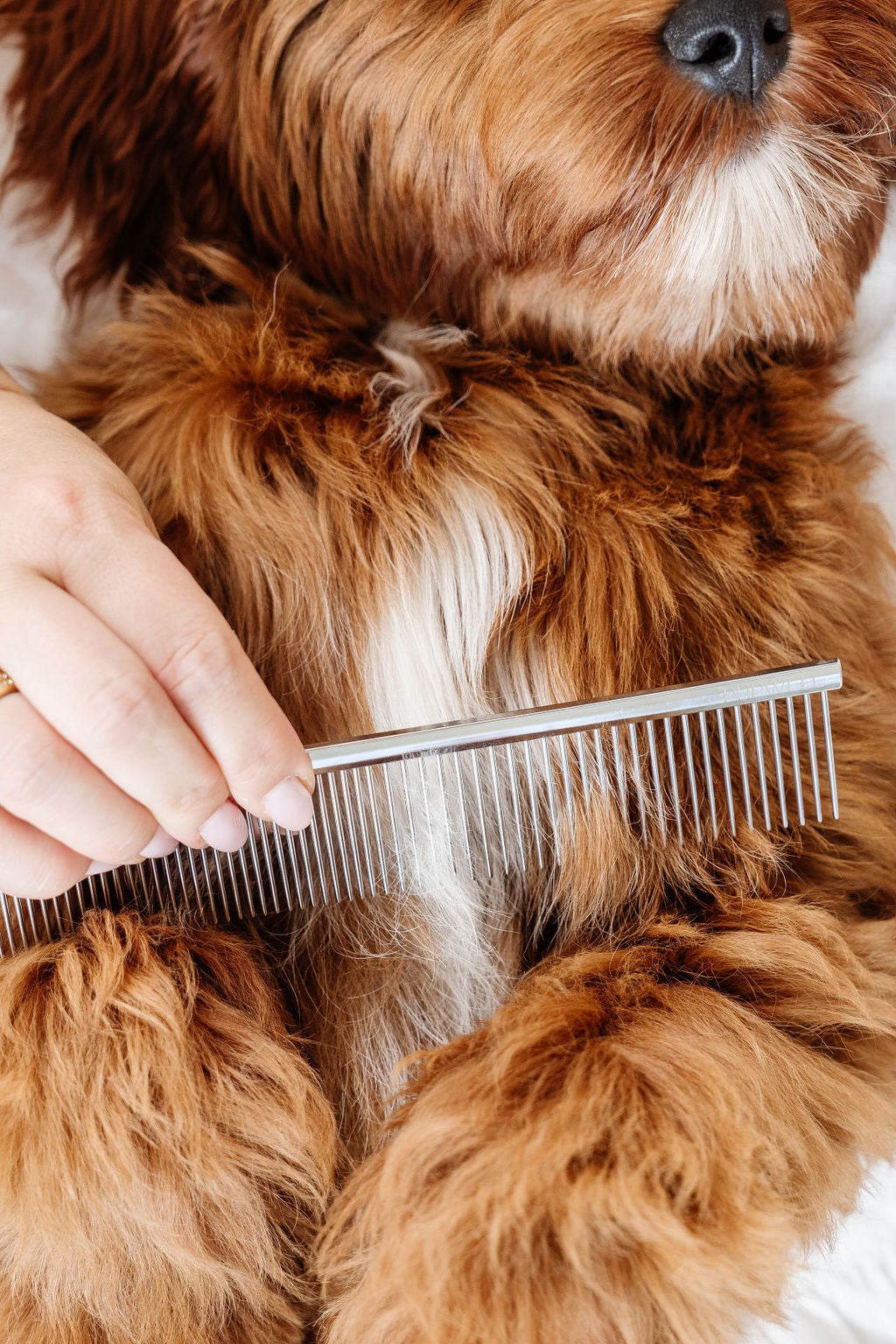 Everyday Dog Grooming Comb | 7" Stainless Steel Detangling & Finishing Comb