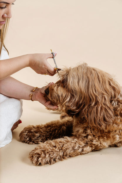 Ultimate Dog Grooming Kit | Professional 14-Tool Home Grooming Set with Training Course