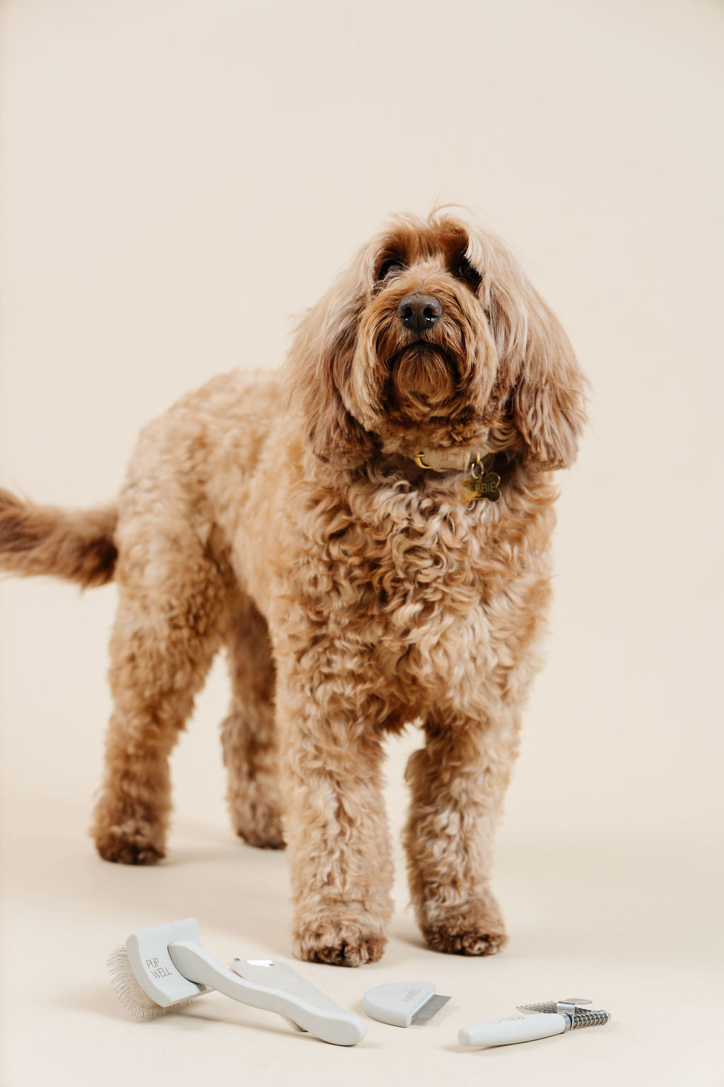 Pup Parent Essentials | Beginner Dog Grooming Bundle with Slicker Brush & Combs