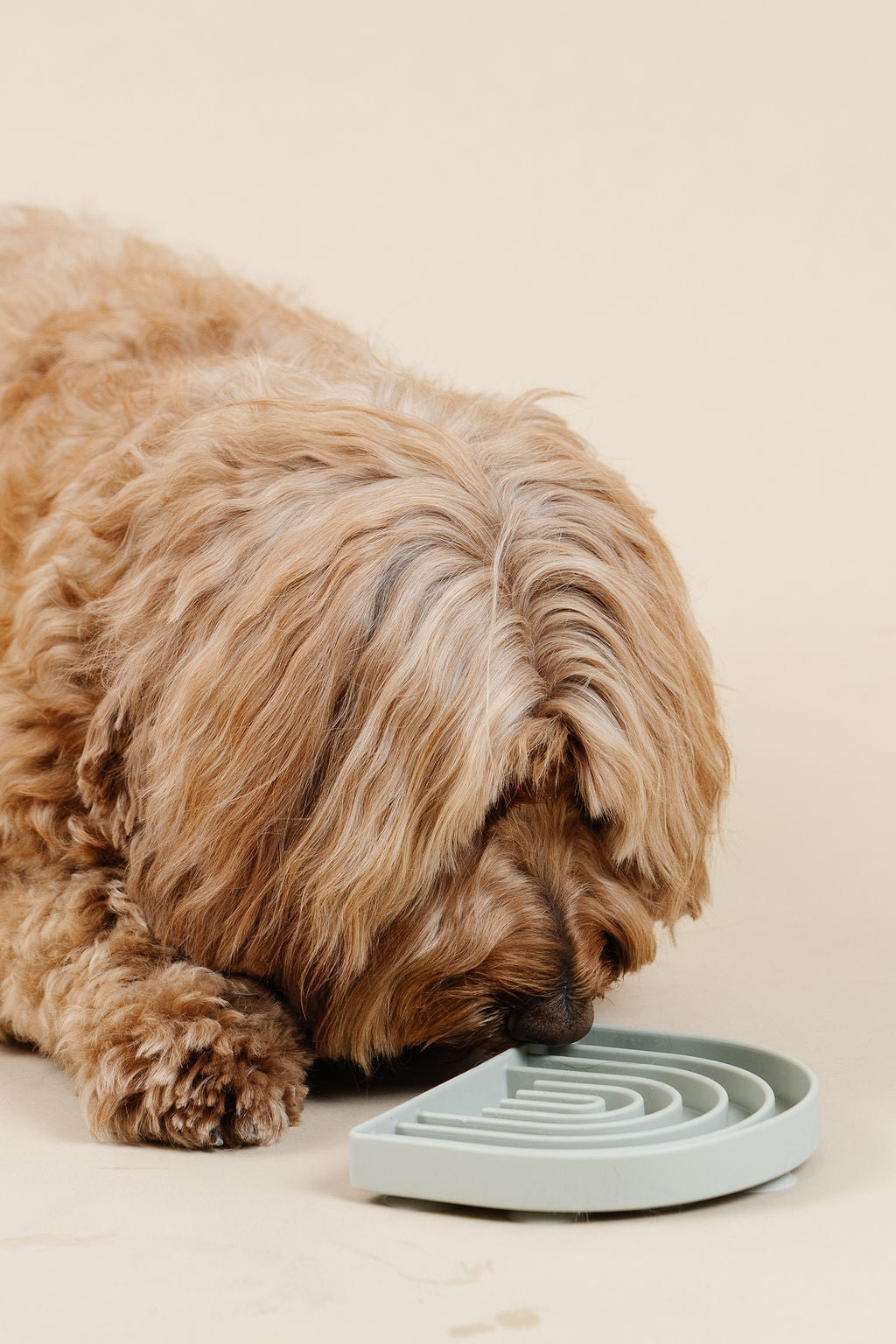 Happy Feelings Lick Mat & Slow Feeder for Dogs – Pupwell