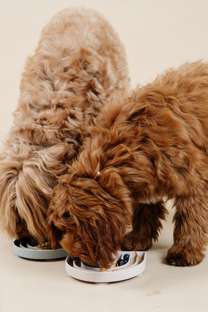 Happy Feelings Lick Mat & Slow Feeder for Dogs – Pupwell