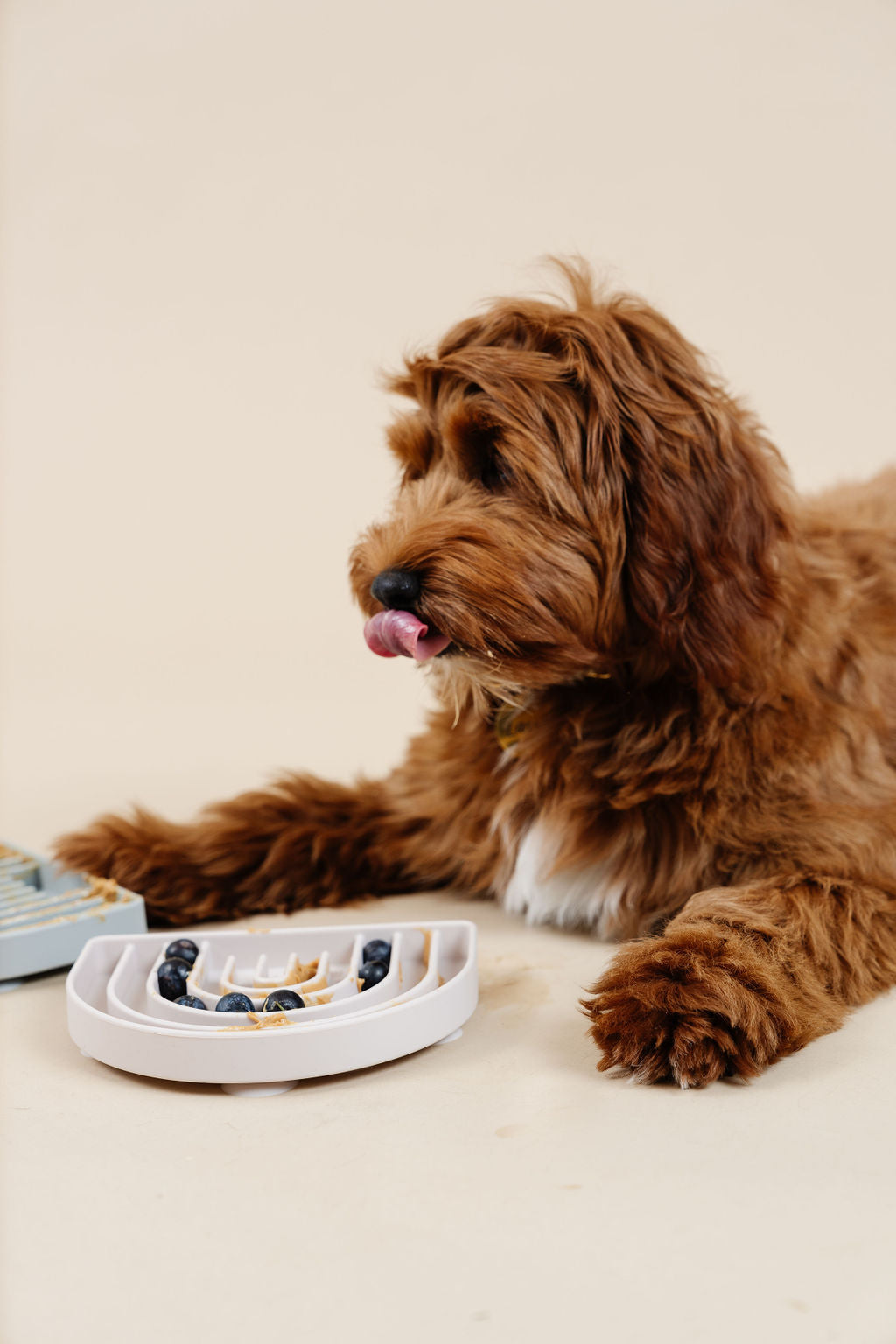 Happy Feelings Lick Mat & Slow Feeder for Dogs – Pupwell