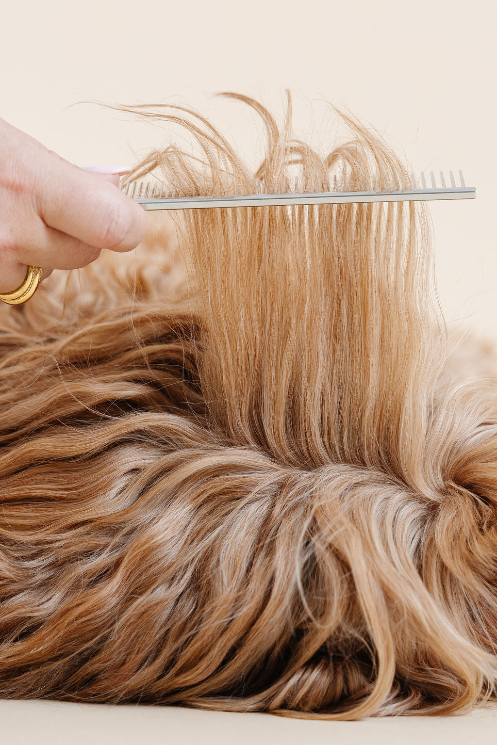 Pup Parent Essentials | Beginner Dog Grooming Bundle with Slicker Brush & Combs