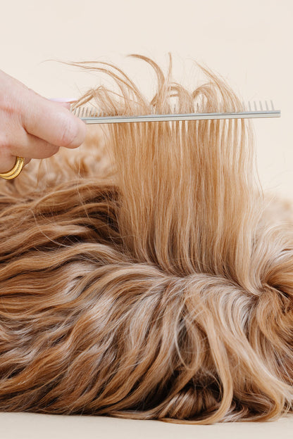 Pup Parent Essentials | Beginner Dog Grooming Bundle with Slicker Brush & Combs