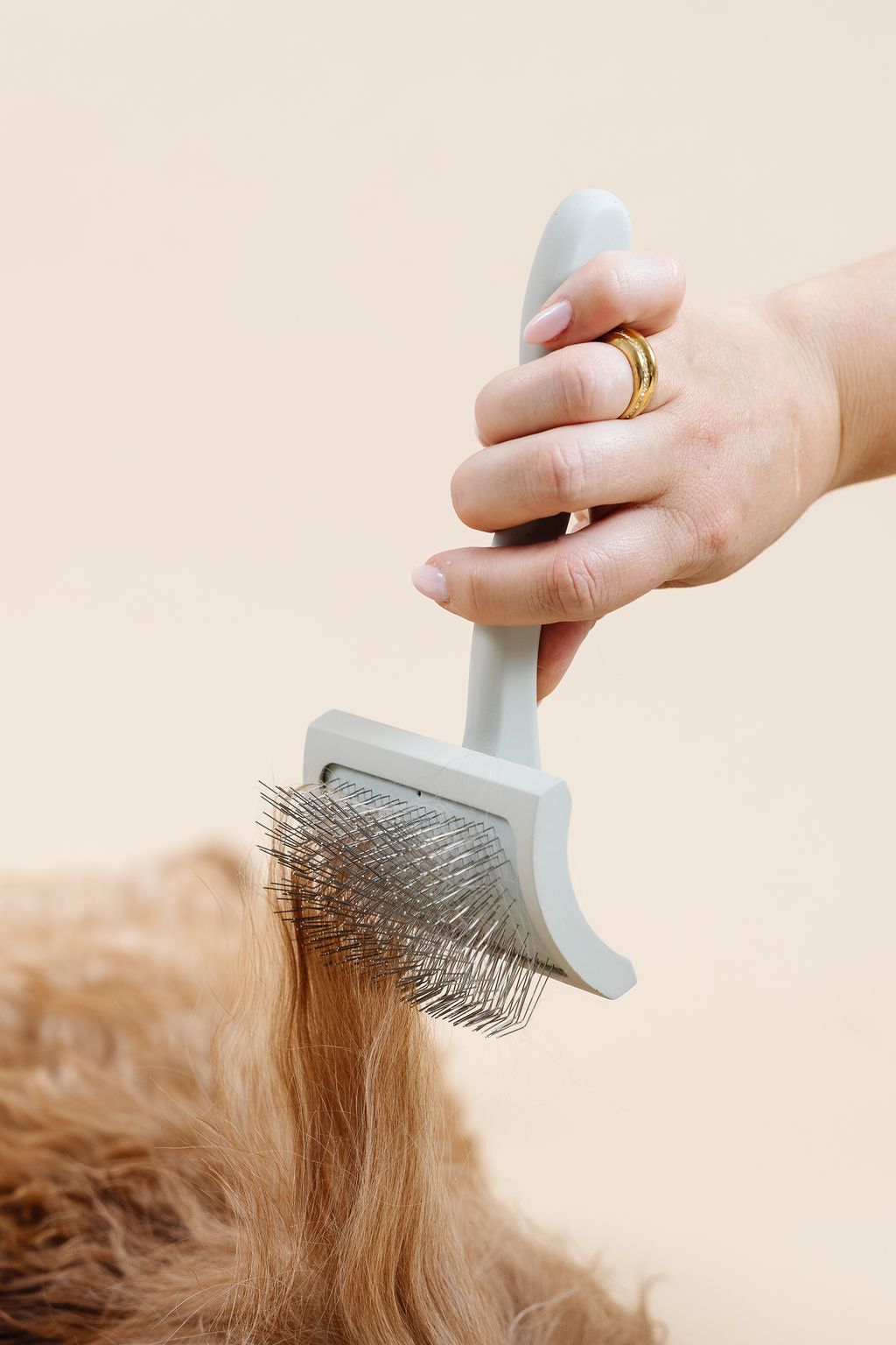 Everyday Slicker Brush | Professional Dog Grooming Brush for Detangling & Mat Prevention