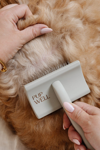 Ultimate Dog Grooming Kit | Professional 14-Tool Home Grooming Set with Training Course