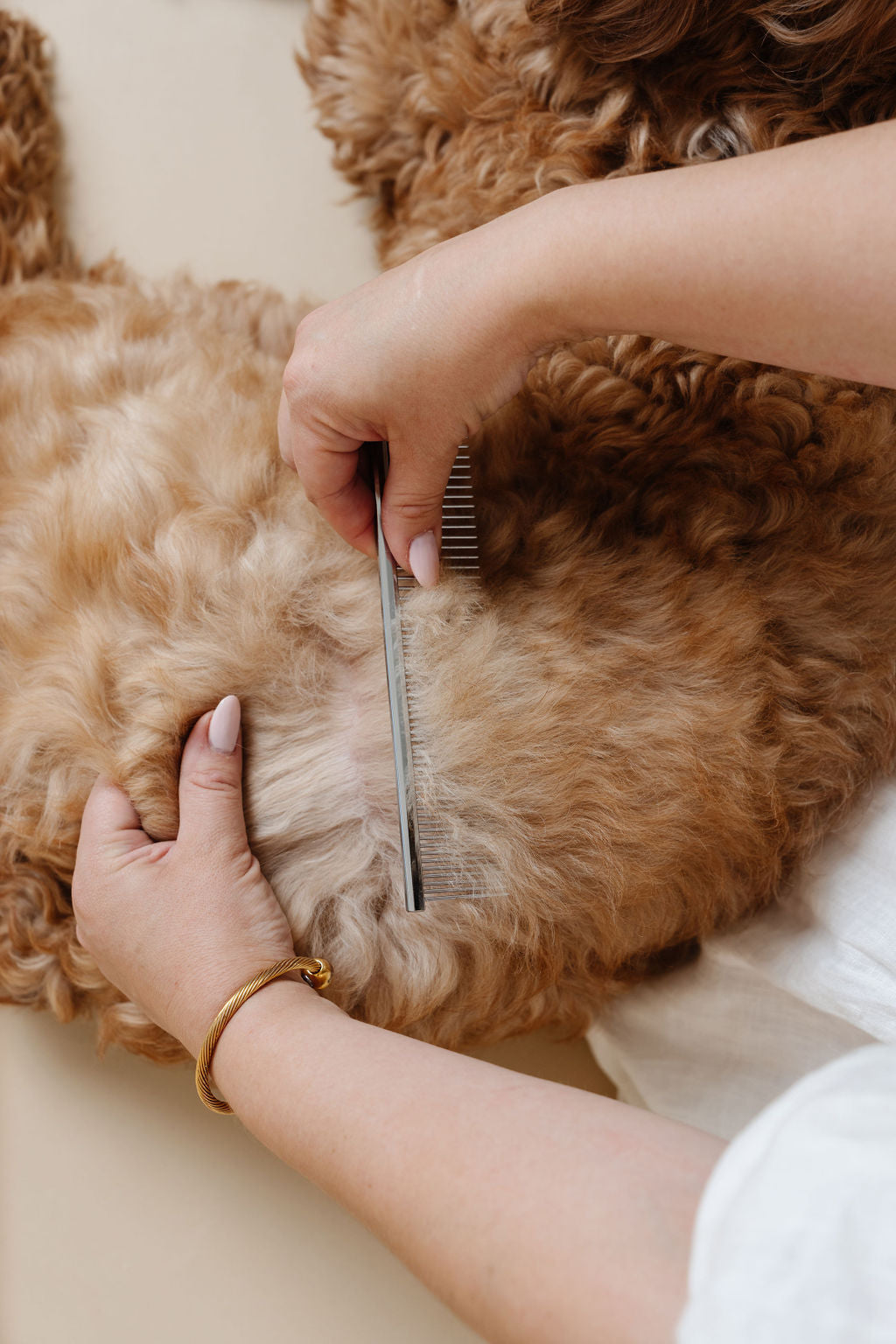 Pup Parent Essentials | Beginner Dog Grooming Bundle with Slicker Brush & Combs