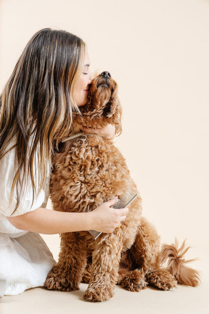 Everyday Dog Grooming Comb | 7" Stainless Steel Detangling & Finishing Comb