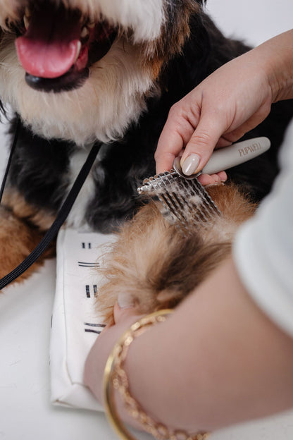 Pupwell Detangler Comb – Dematting Tool for Knots & Mats