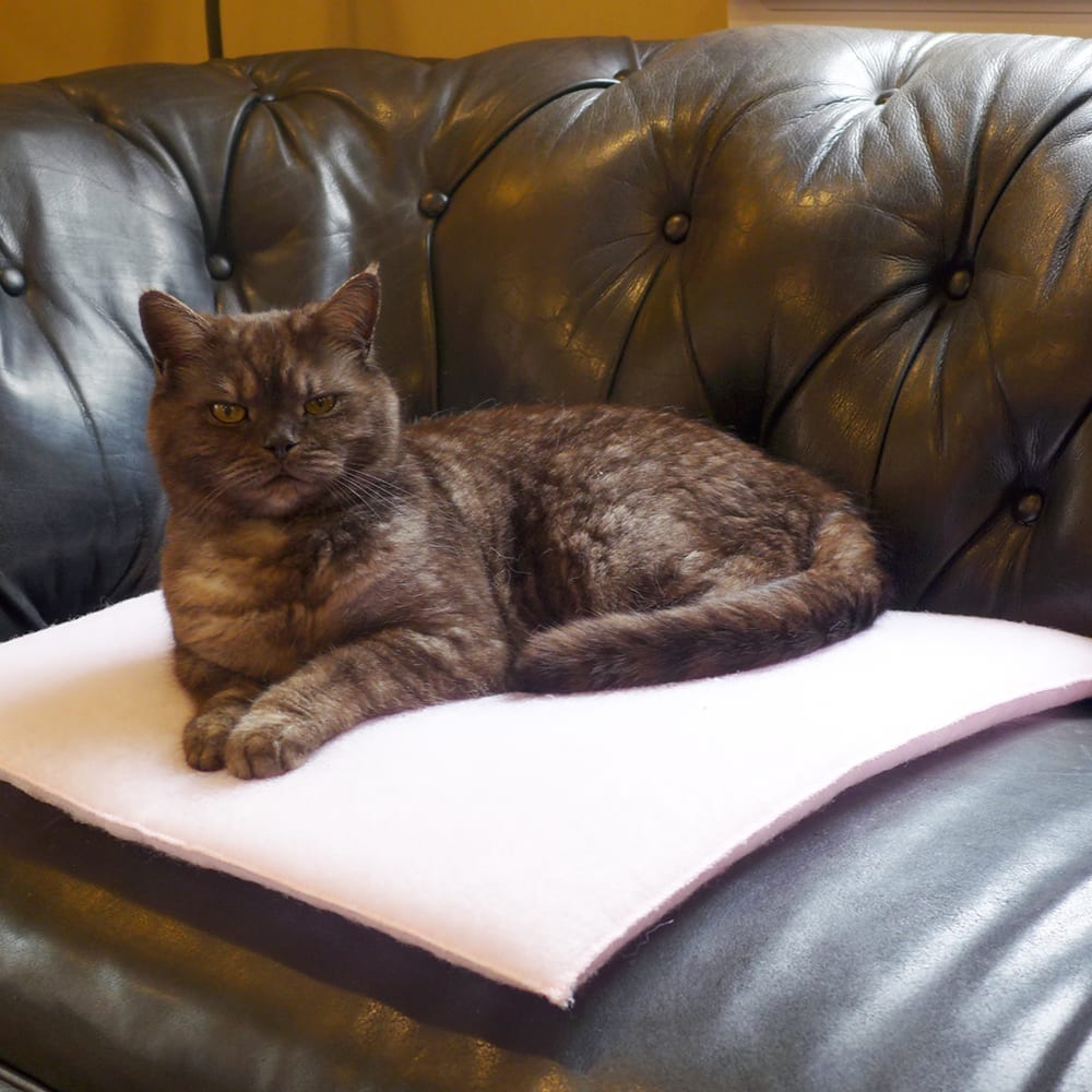 Purr Padd Cat Bed | Ultra-Soft Electrostatic Heat-Trapping Pads (Set of 2) — Made in USA