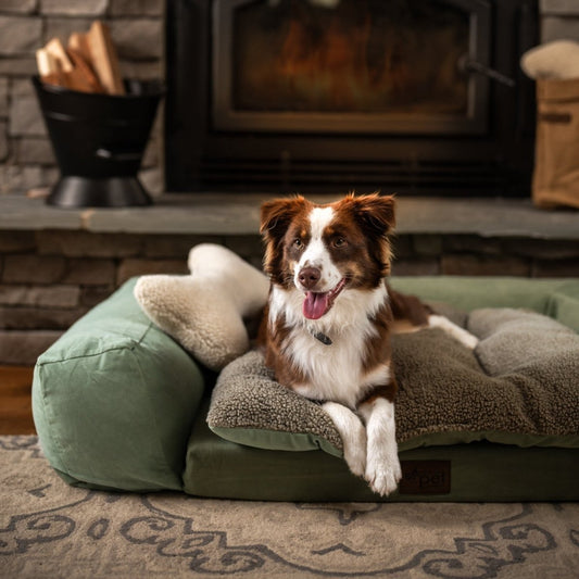 Rectangle Orthopedic Pet Couch | Supportive Dog Bed with Medical-Grade Foam & Washable Cover