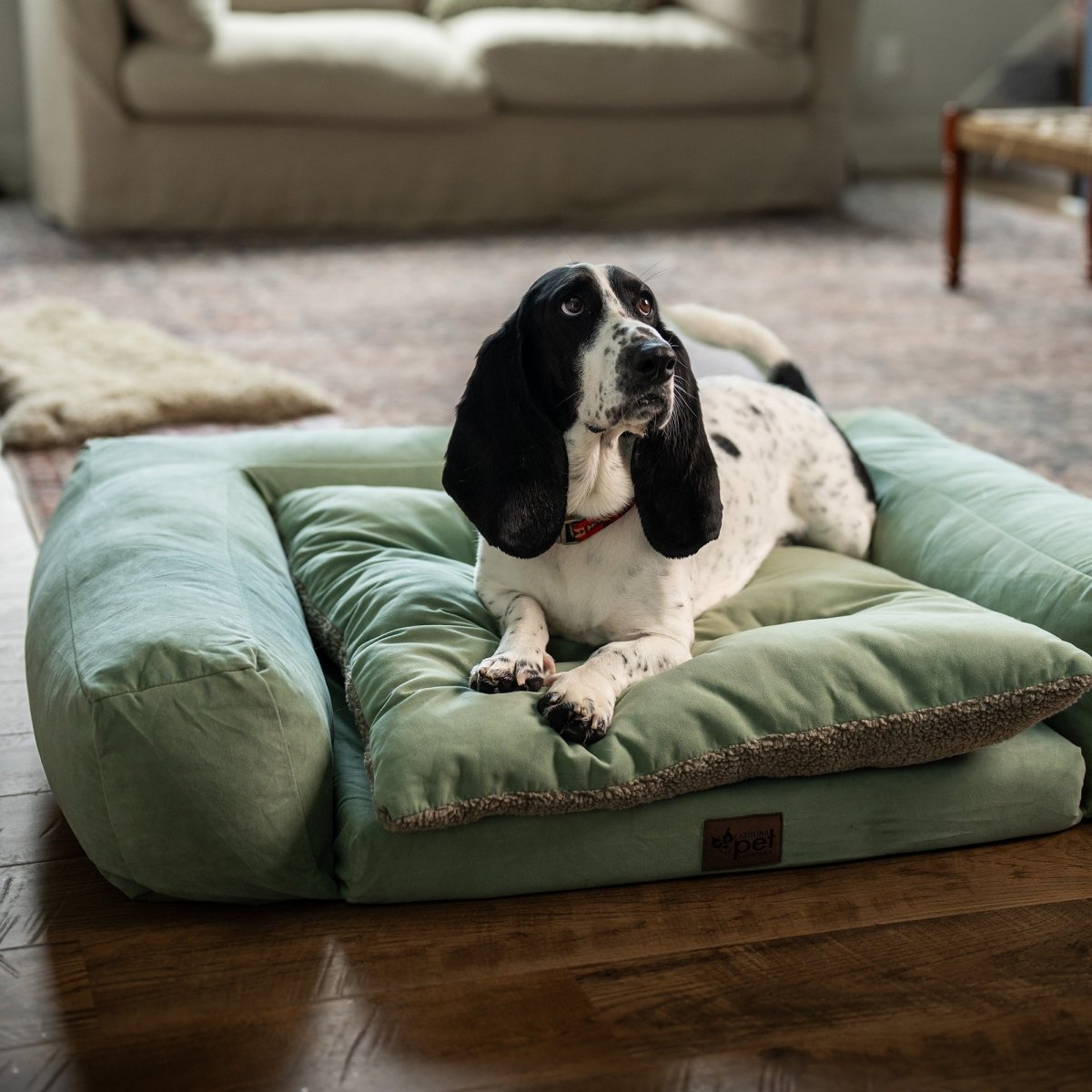 Rectangle Orthopedic Pet Couch | Supportive Dog Bed with Medical-Grade Foam & Washable Cover