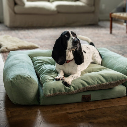 Rectangle Orthopedic Pet Couch | Supportive Dog Bed with Medical-Grade Foam & Washable Cover
