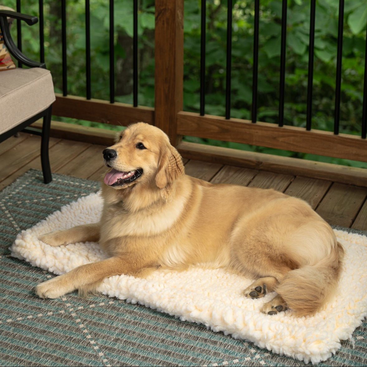Sherpa Comfort Cushion | Portable Plush Dog Travel Mat with Soft Sherpa & Washable Cover