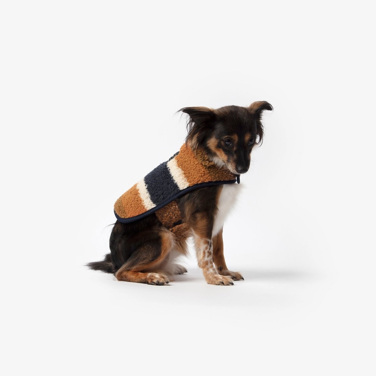 Shinola Brand Stripe Berber Dog Coat – Rust | Warm Shearling Dog Jacket with Adjustable Belt & Harness Slit (XS–2XL)