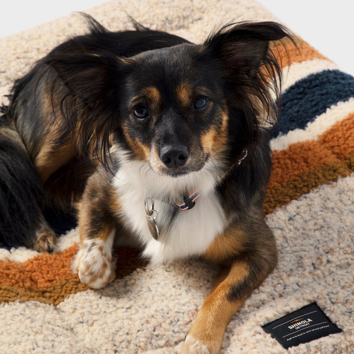 Shinola Brand Stripe Comfort Cushion Berber Dog Bed – Oatmeal | Reversible Plush Dog Mat with Recycled Fill