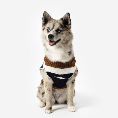 Shinola Brand Stripe Knitted Pet Sweater | Cozy Pullover Acrylic Dog Sweater — Machine Washable