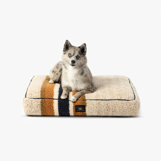 Shinola Brand Stripe Napper Pillow Berber Dog Bed – Oatmeal | Plush Berber Mattress with Recycled MemoryFiber™ & Washable Cover