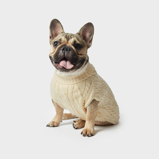 Shinola Cable Knit Pet Sweater | Cozy Pull-Over Dog Sweater in Multiple Sizes
