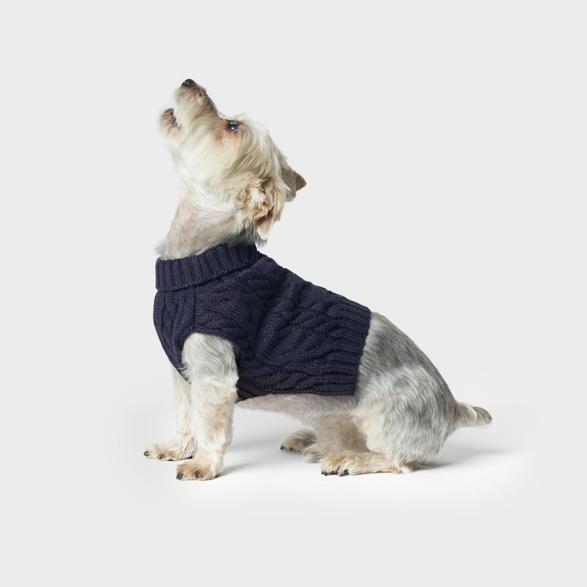 Shinola Cable Knit Pet Sweater | Cozy Pull-Over Dog Sweater in Multiple Sizes