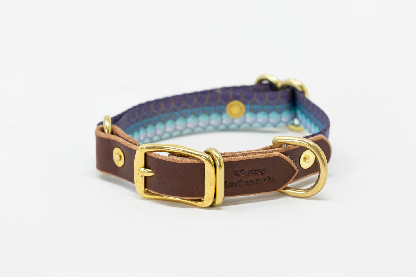Saltwater Dog Collar – Handmade Waterproof Brass Buckle Beach Collar