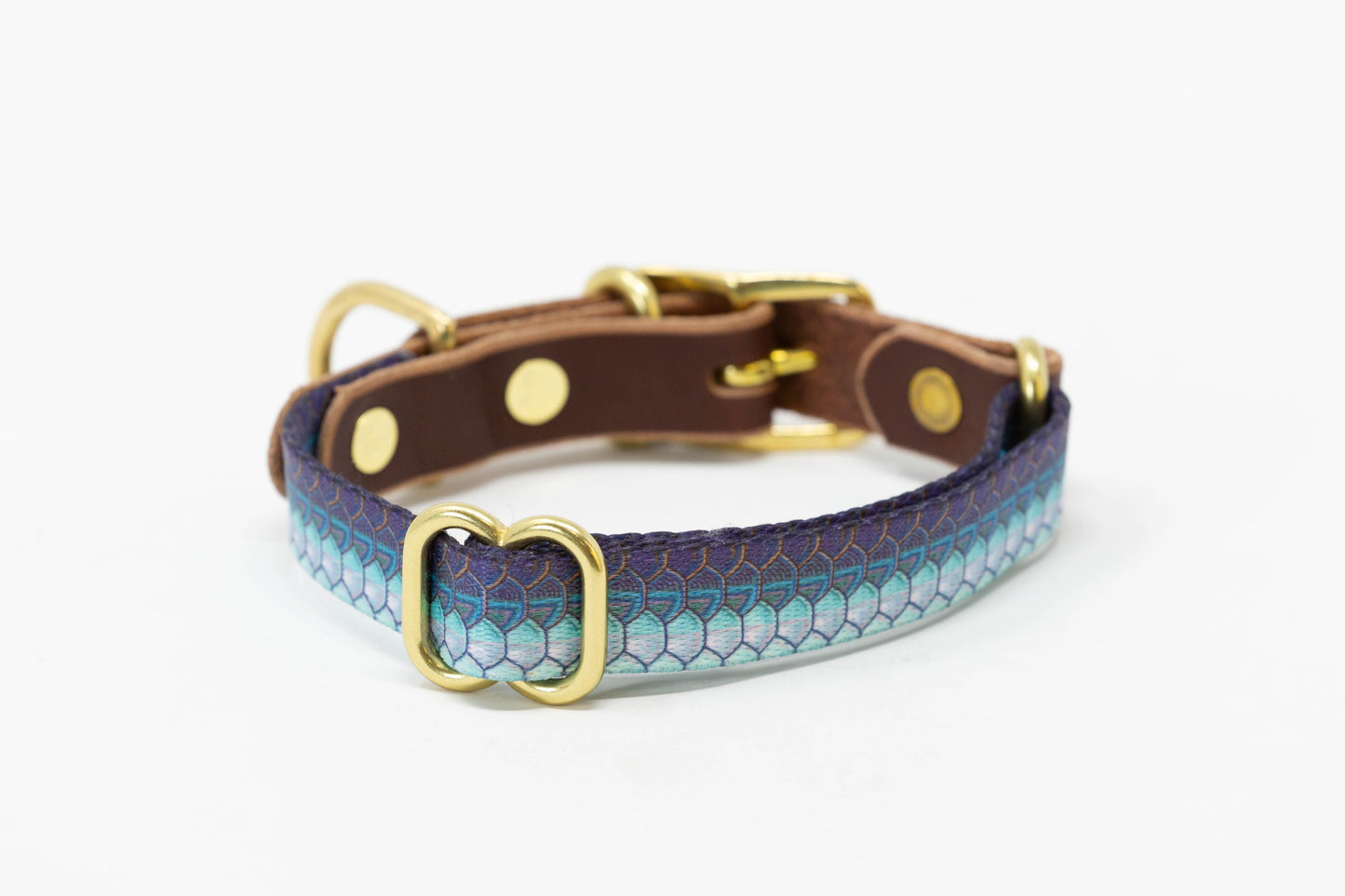 Saltwater Dog Collar – Handmade Waterproof Brass Buckle Beach Collar