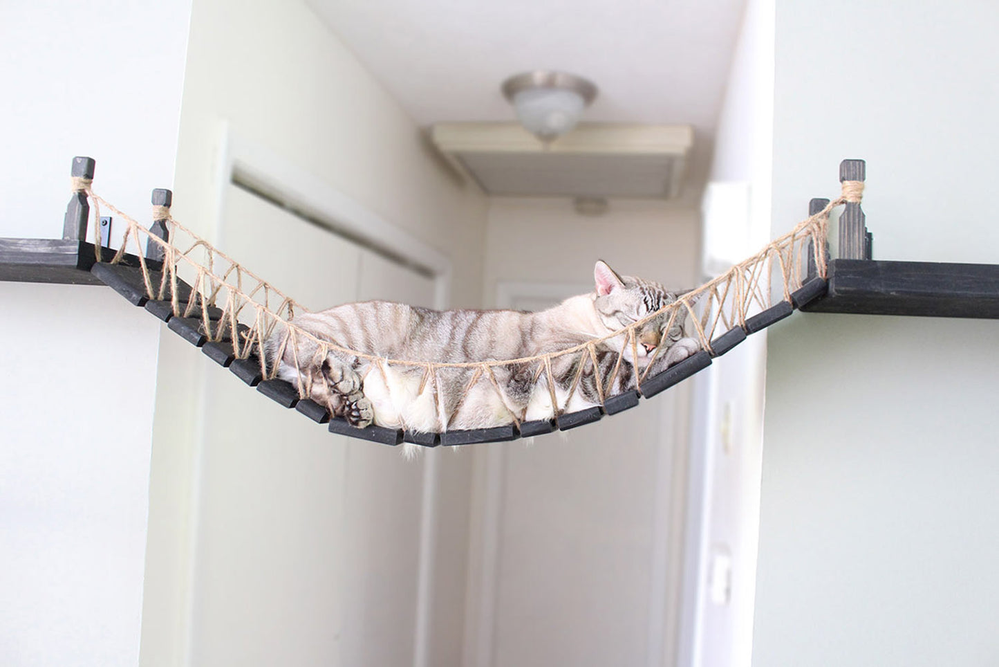 Cat Bridge for Wall