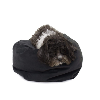 Transformer Converting Dog & Cat Bed | Multi-Configuration Reversible Pet Bed with Plush Recycled MemoryFiber™