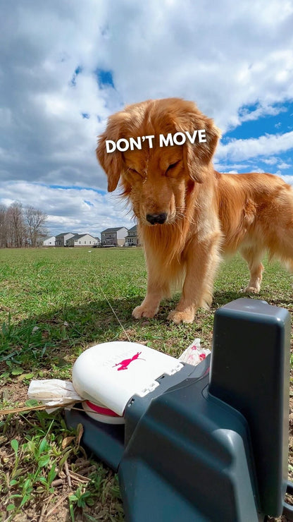 Home Plus Lure Course Kit | High-Speed Outdoor Dog Exercise System for Large Yards