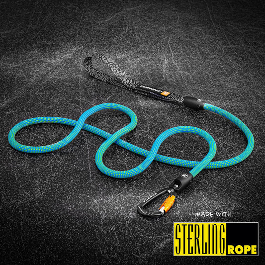 Rope Dog Leash with Auto-Locking Carabiner – 9.4mm Dry-Treated | Ion Blue | Tuenne