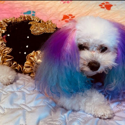 C’Mimi Designer Couture “Cleopatra” Dog Party Dress – Handmade Black & Gold Sequin Dress with Satin Ruffles and Bejeweled Appliqué (XS–3XL | Custom Sizes Available)