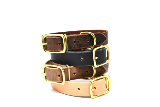 Full Leather Dog Collar – Premium Horween & Wickett & Craig Leather (Handmade USA)