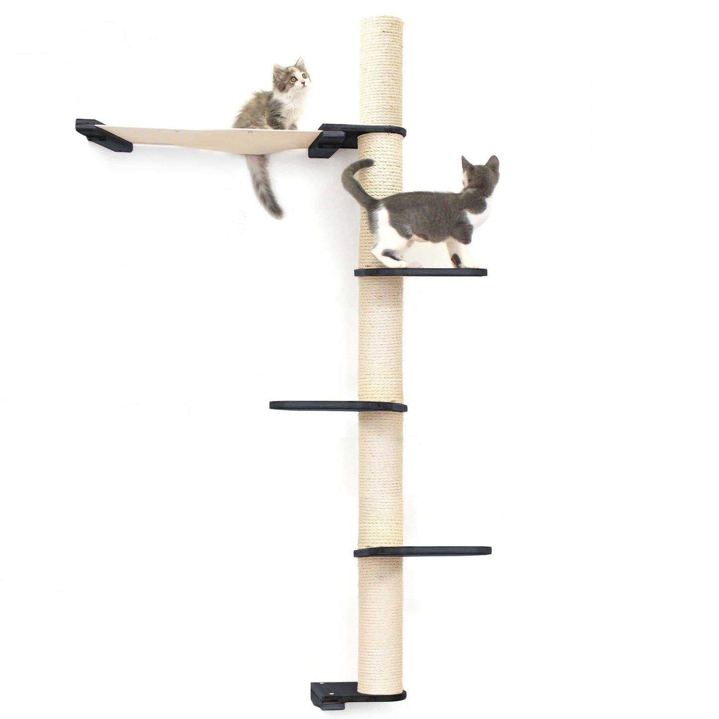 The Crow's Nest - A Wall Cat Scratcher with Hammock